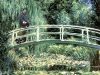 Monet Segway
